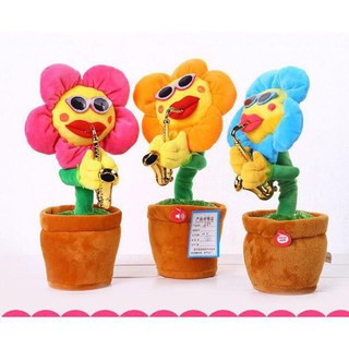 Hoa thổi kèn biết hát 72 bài