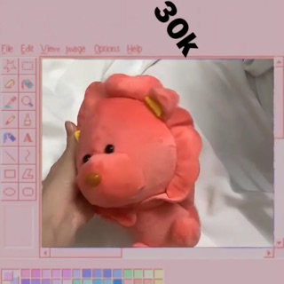 Gấu bông 30k