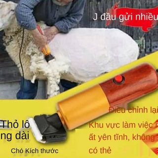 > tông đơ cắt lông thú cưng có dây chuyên nghiệp điện công suất cao 200W để cừu Máy cạo râu cho chó <