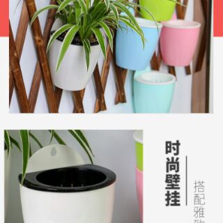 chậu cây móc treo