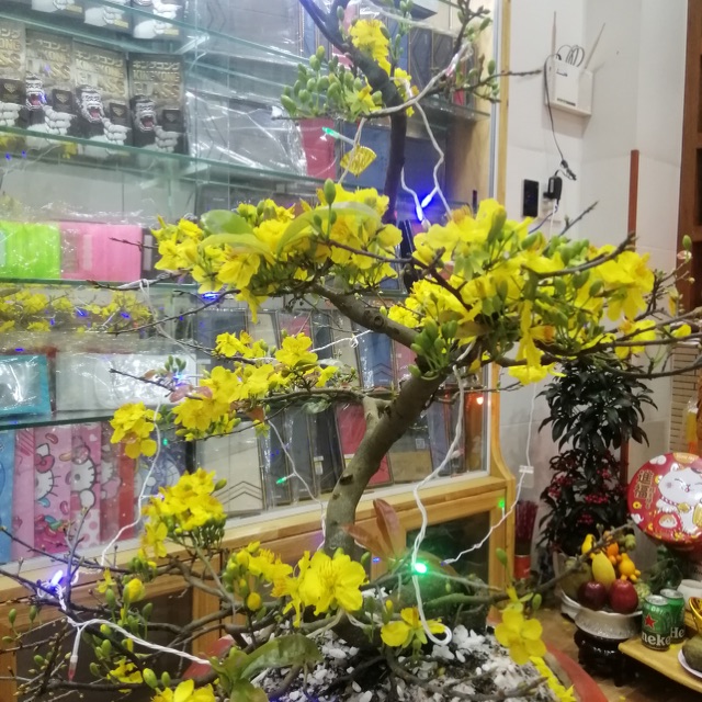 Linh kiện Thịnh Phúc