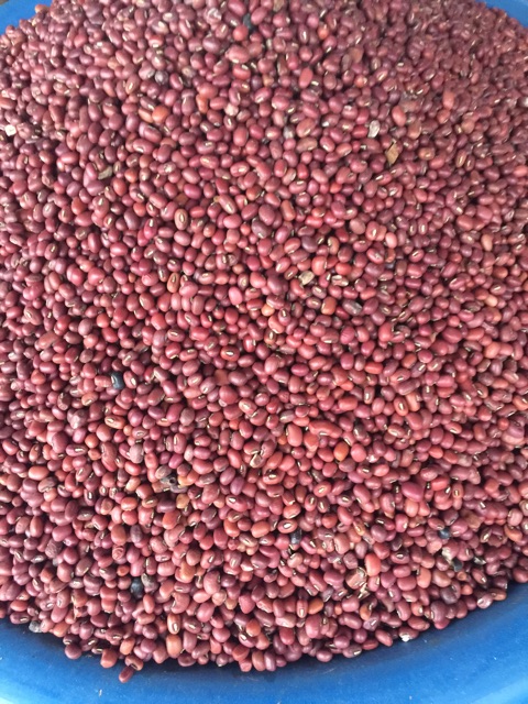 Đậu đỏ quê hạt nhỏ