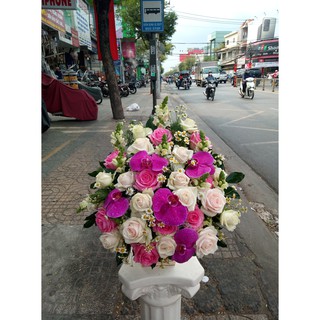 Hộp Hoa Tươi-Hoa Hồng-Lan Hồ Điệp
