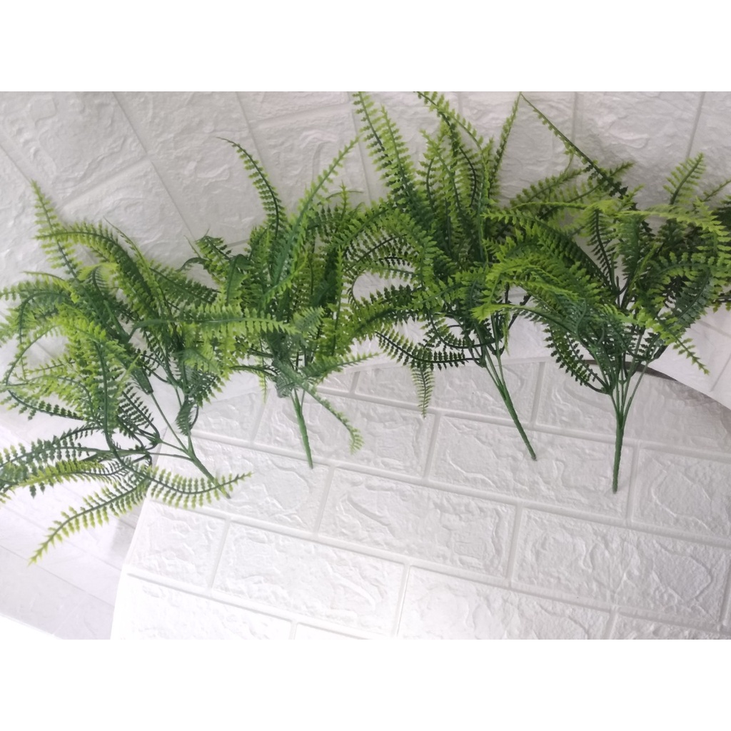 Cụm dương xỉ 7 nhánh trang trí