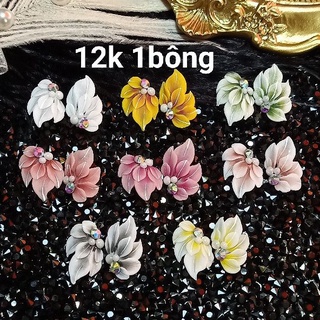 Hoa nửa cánh nhọn - hoa bột mỹ cao cấp đính móng hn79
