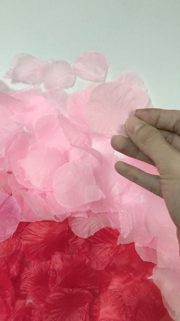 Gói 100 cánh hoa hồng giả, cánh hoa hồng lụa trang trí phòng cưới , trang trí sinh nhật