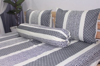 Bộ drap cotton 100%