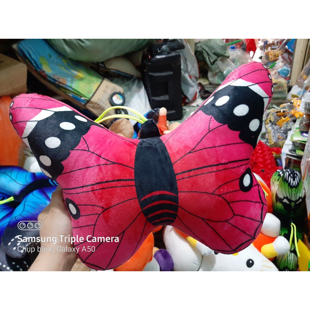 gấu bông mô hình con bướm | Shopee Việt Nam