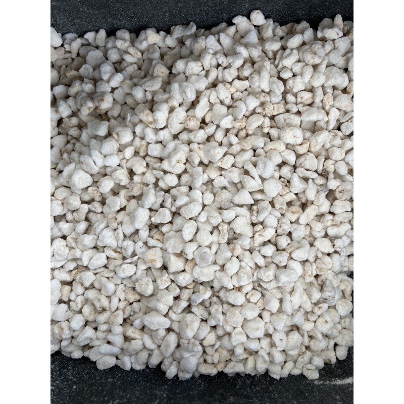 500g đá perlite Namix 4~8mm