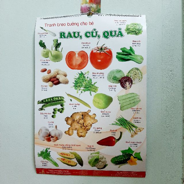 TRANH TREO TƯỜNG 14 CHỦ ĐỀ CHO BÉ