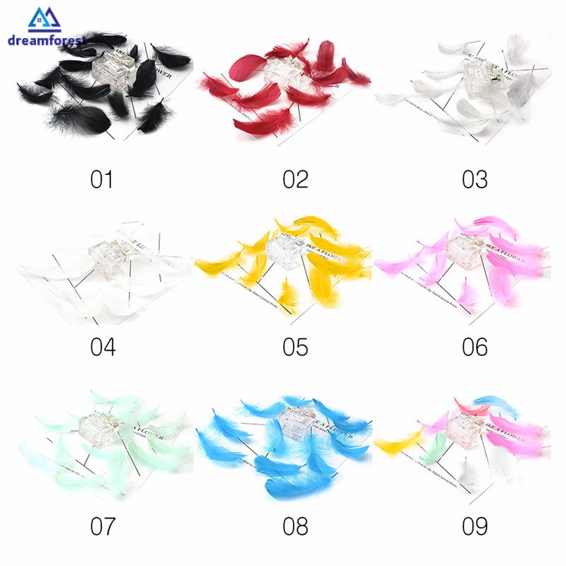 100 lông vũ tự nhiên 8-12cm dùng để trang trí lưới bắt giấc mơ DIY
