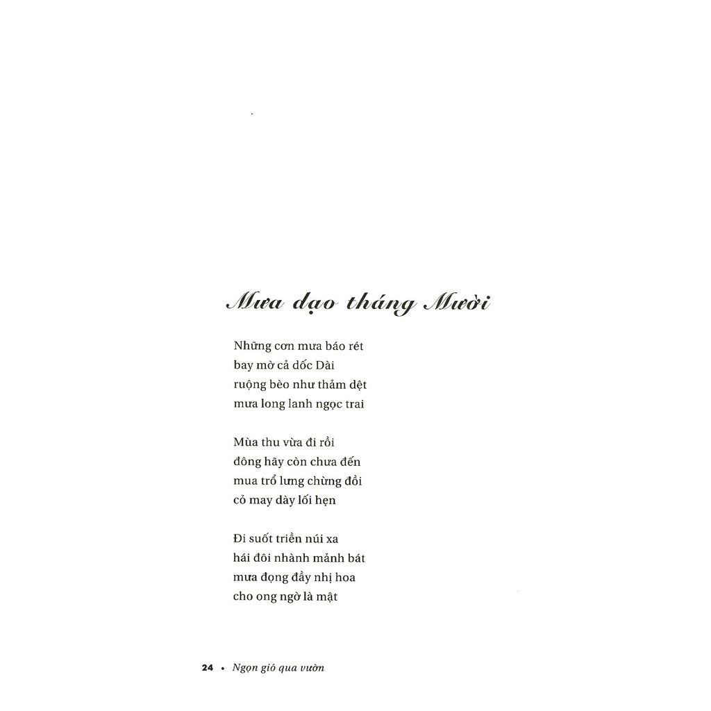 Sách - Ngọn Gió Qua Vườn