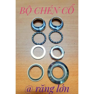 Bộ chén cổ xe đạp