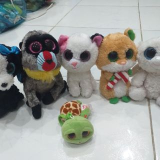 Gấu bông An phan