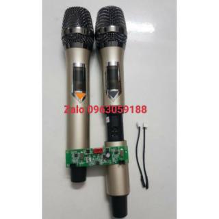Mic không dây giành cho loa kéo - Sét tần số- 1 cặp