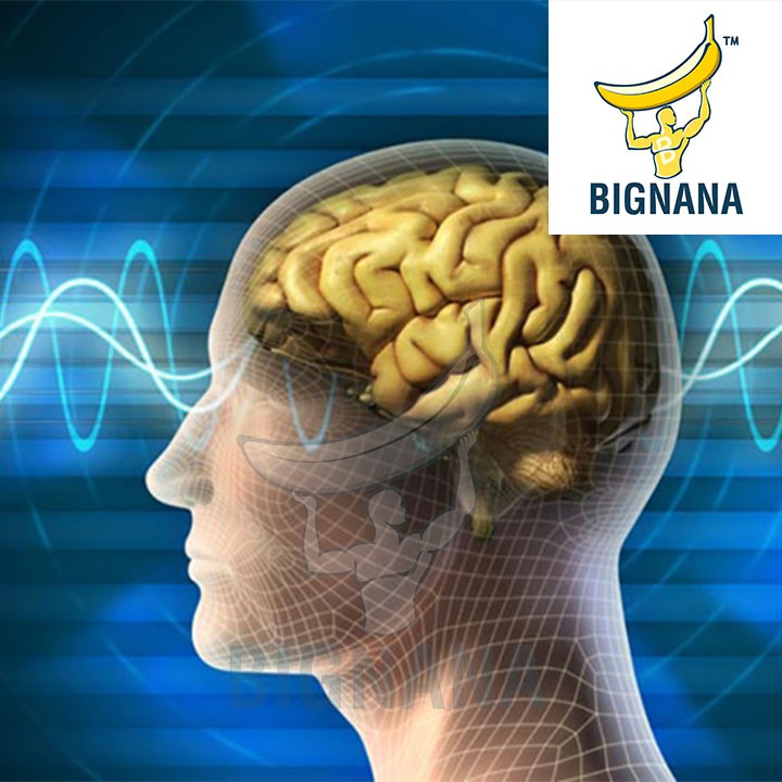 Hạt Chia Đen Úc - Black Bag Chia Túi 500gr Ngừa Lão Hóa, Giảm Cân | BigBuy360 - bigbuy360.vn