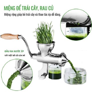 Hạt Cỏ Lúa Mì Hữu Cơ