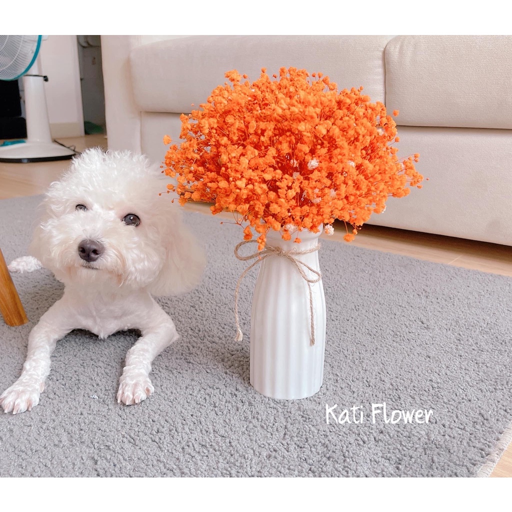 BÌNH GỐM - lọ hoa MINI - decor - gốm sứ bát tràng- hoa khô cao 17cm