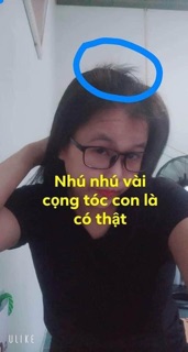 COMBO 3 CHAI TINH DẦU BƯỞI KÍCH MỌC TÓC ( tặng quà hấp dẫn )