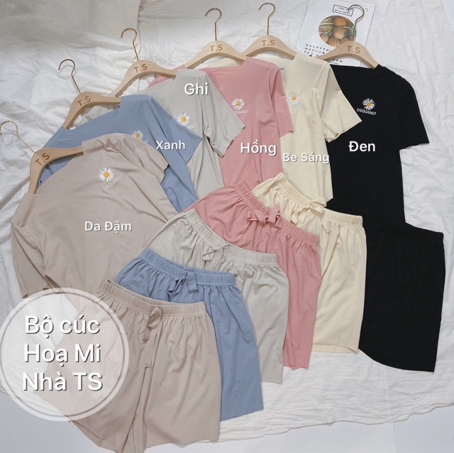 [Mã WA1606 giảm 15% đơn 99k] BỘ MẶC NHÀ HOA CÚC QUẢNG CHÂU SIÊU HOT NỮ | BigBuy360 - bigbuy360.vn