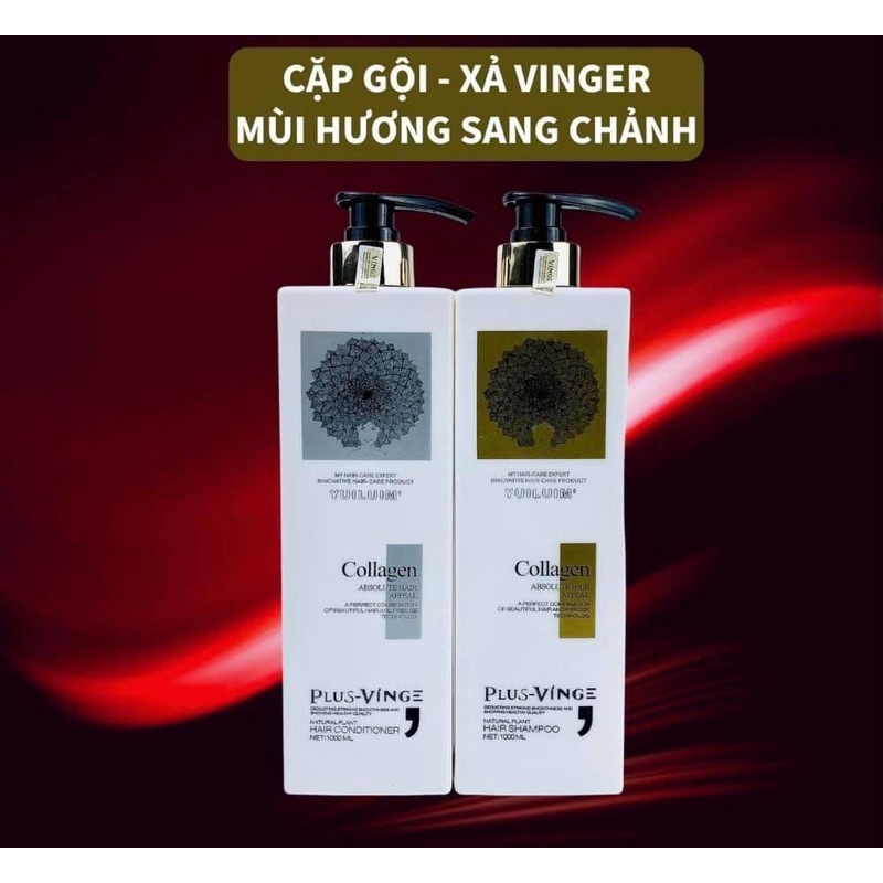 Dầu cặp vinger | BigBuy360 - bigbuy360.vn