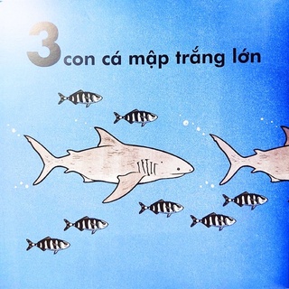Sách-Cá voi dài bao nhiêu?