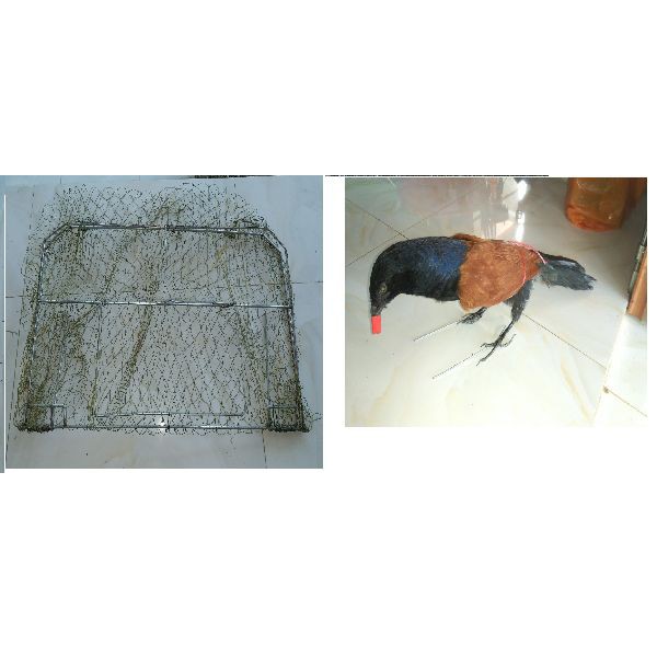 Combo mẹt vuông và bịp giả
