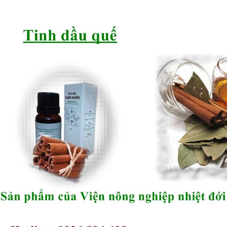 Tinh dầu quế thơm phòng 10ml IAT