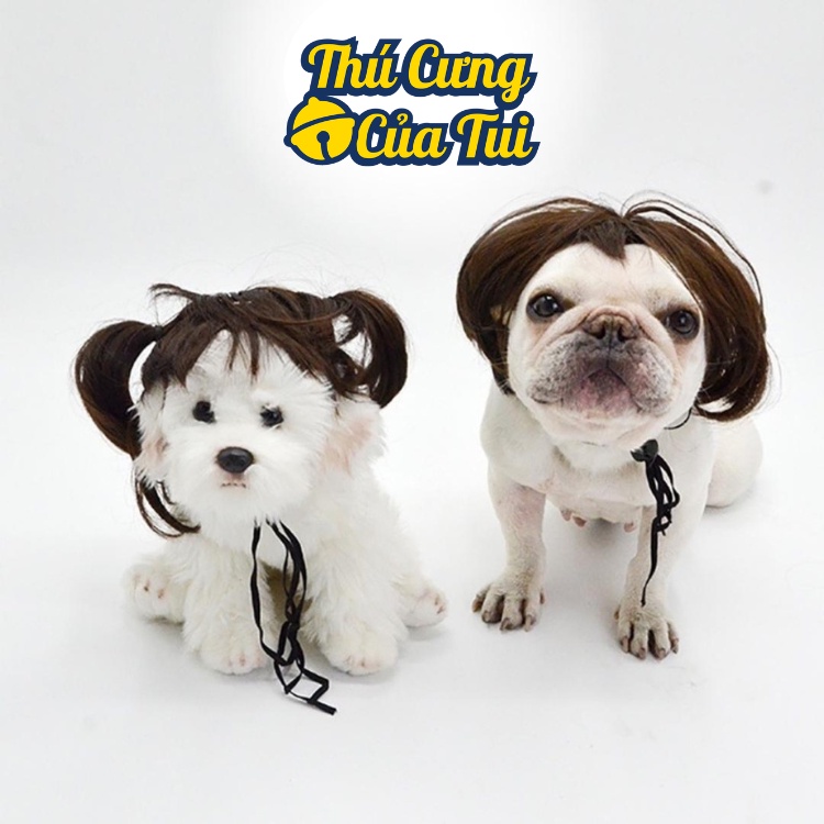 Tóc Giả Cho Chó Mèo Hóa Trang Cosplay, Phụ Kiện Thời Trang Cho Thú Cưng - Thú Cưng Của Tui