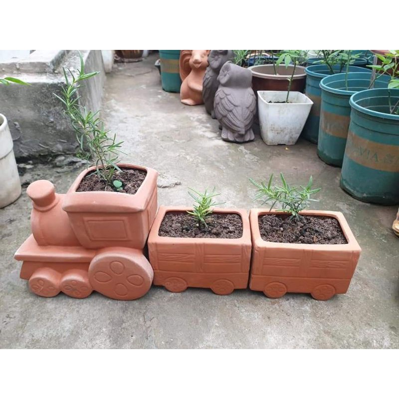 Chậu đất nung - chậu xe lửa