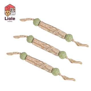Cỏ Catnip Cho Mèo Thư Giãn
