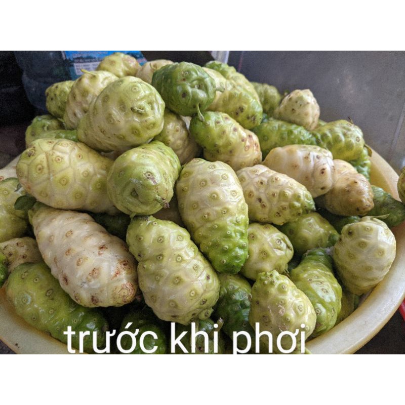 QUẢ NHÀU KHÔ PHAN RANG NINH THUẬN