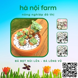 Đá bọt núi lửa, Đá lông vũ  - Đá giữ ẩm size 1-2 - túi 5dm
