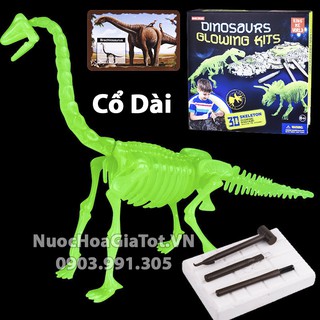 BỘ ĐỒ CHƠI KHẢO CỔ ĐÀO HÓA THẠCH 1 CON KHỦNG LONG CỔ DÀI SIZE L 25CM CÓ DẠ QUANG