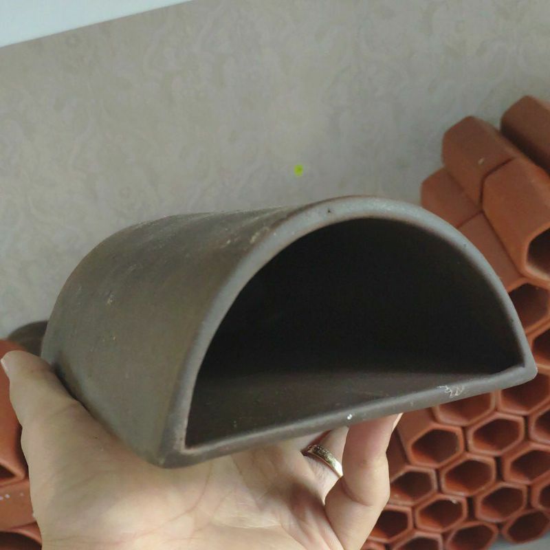 Hang gốm vòm to Pleco size 15 - 17cm