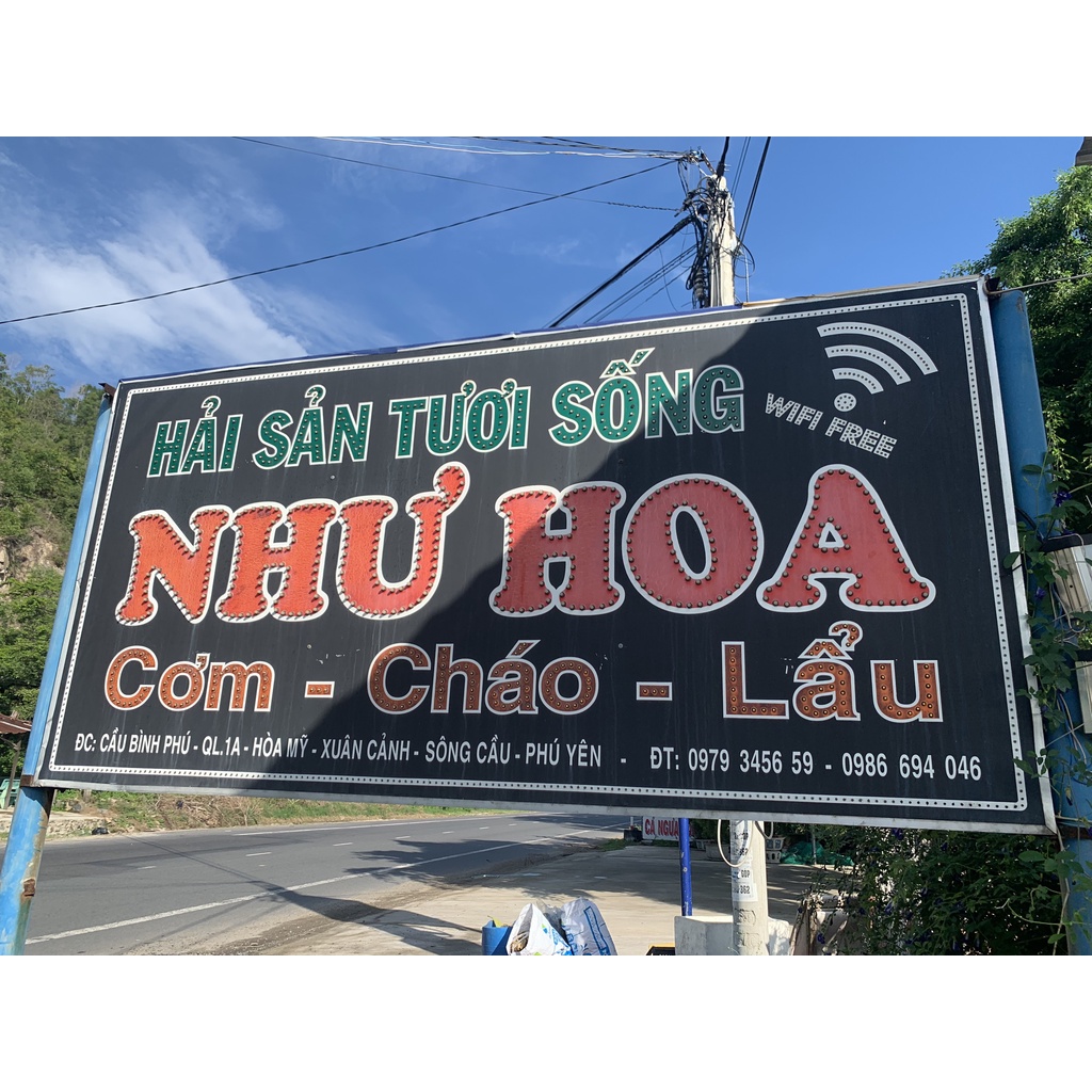 Cá ngựa khô - tươi size lớn 16-25cm