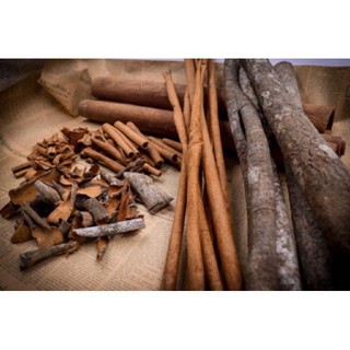 Vỏ quế khô 100g - giadungBT