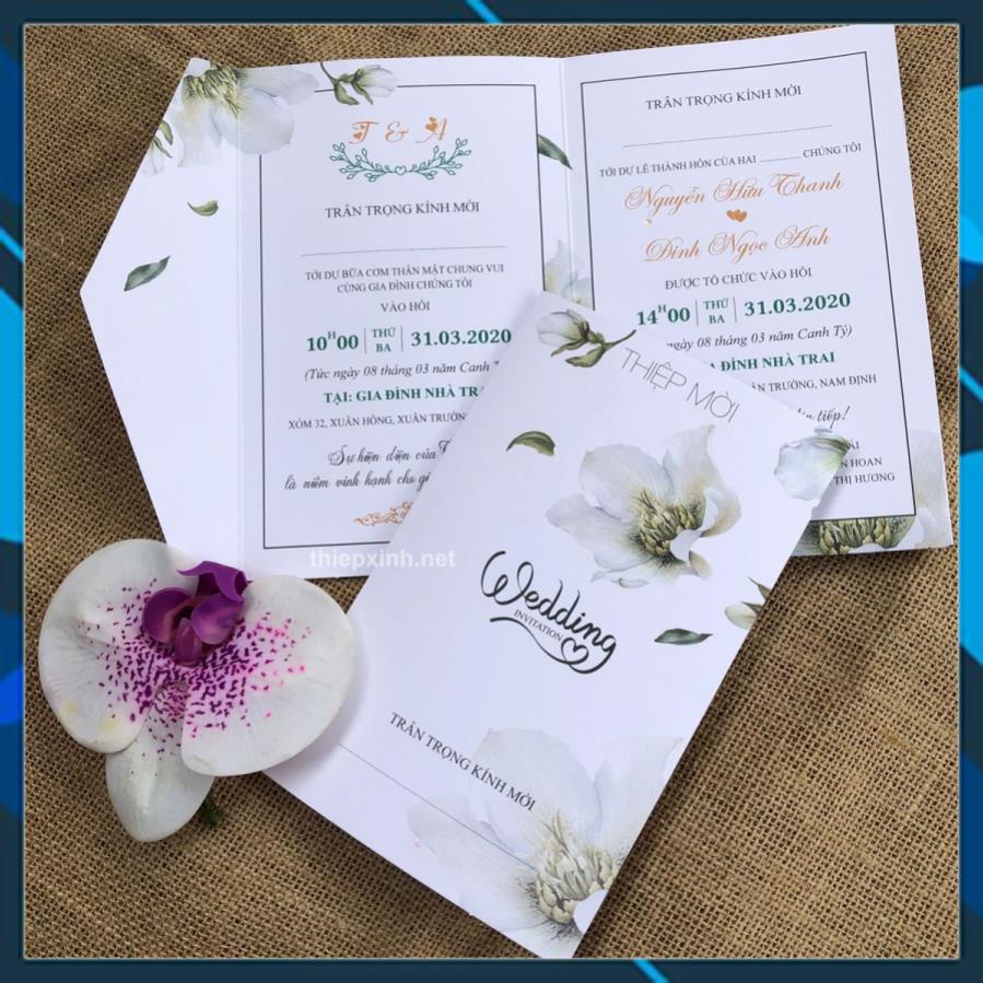 MỰC EPSON PIGMENT UV (bình 1 LÍT)