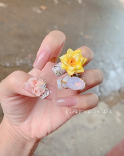 hoa hồng pháp size đại.