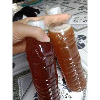 Mật ong hoa nhãn