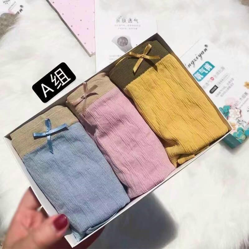 HỘP 3 QUẦN CHIP NỮ COTTON TRƠN KHÔNG LẰN THỊT, KHÔNG LỘ QUẦN-giadungxinhshop