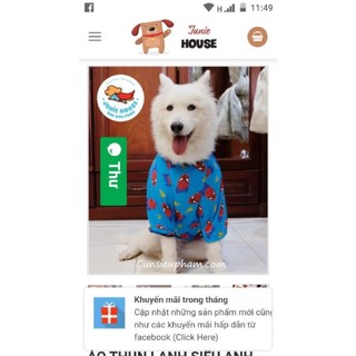 Áo thun có tay dành cho chó lớn