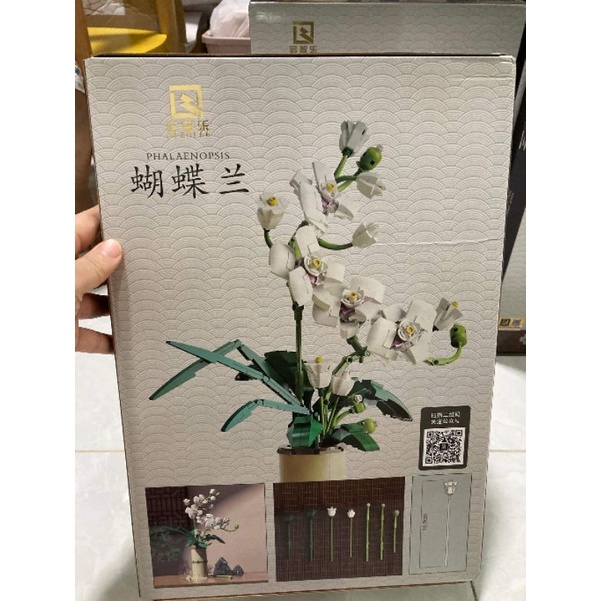 Đồ Chơi Lắp Ráp Mô Hình Hoa Phong Lan Phalaenopsis BOX