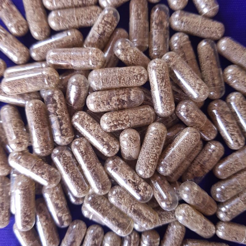 1 VIÊN Artemia Nước Ngọt Làm Thức Ăn Cá - Atermia Nước Ngọt Dạng Viên Nhộng.