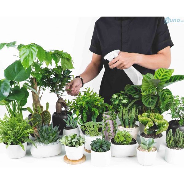 Phân bón RYNAN 230 23-8-8+TE tan chậm 150g, Chuyên Dùng Cho Cây Mini, Bonsai