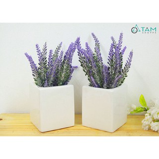 Chậu gốm trồng cây vuông trắng số 70