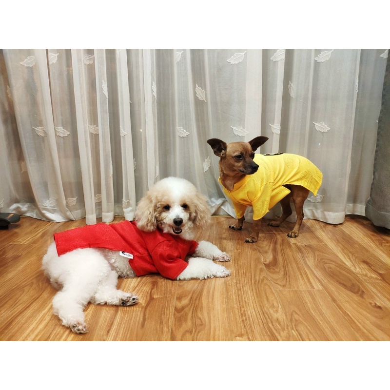 Áo Tết cho chó mèo, áo dài Tết cho thú cưng, có size cho chó to, chó lớn