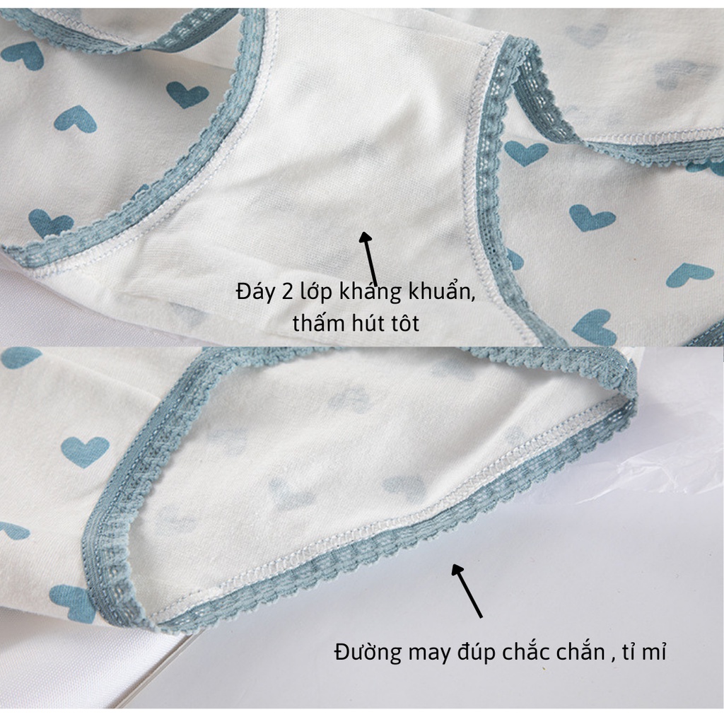 Bộ 4 quần lót dễ thương chất cotton mềm cho nữ
