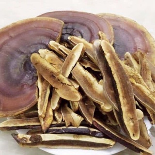 Nấm linh chi chuẩn rừng 1 kg