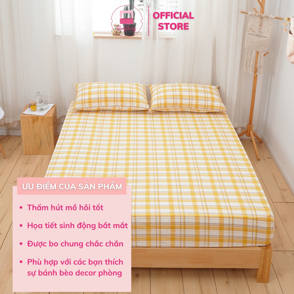 Ga Gối Cotton Tici Kẻ Mẫu Mới Nhất    -  Nhập Khẩu Không bai xù, Không phai màu